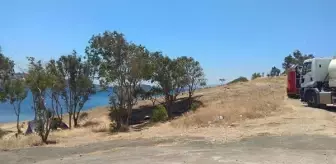 Son dakika haber | Foça'da 2 yangın; makilik ve ormanlık alan yandı