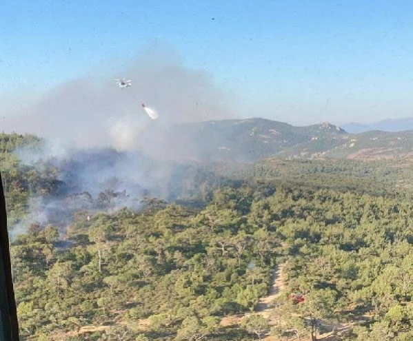 Foça'da orman ve makilik yangını, 1 saatte söndürüldü
