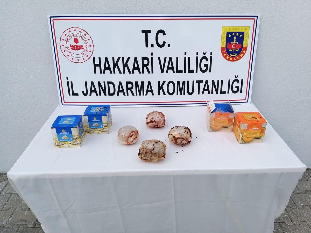 Hakkari\'de kargo aracında 2 kilo eroin ele geçirildi