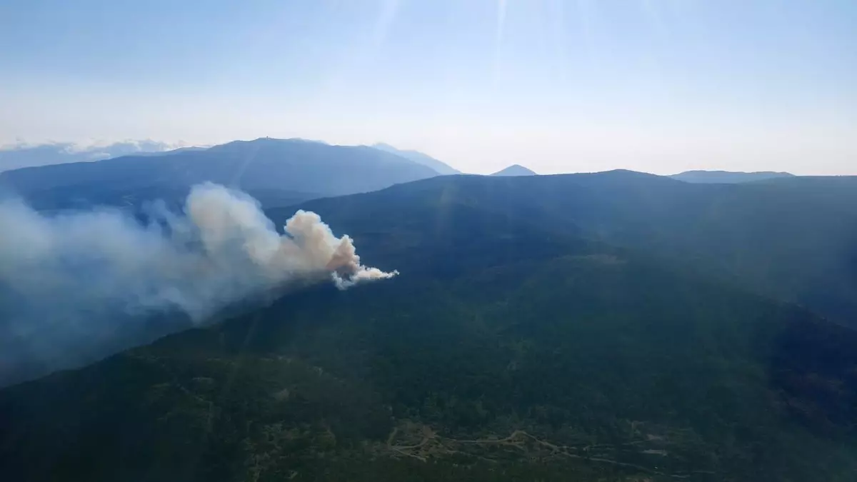 Hatay\'da çıkan örtü yangını kontrol altına alındı