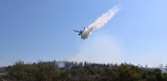 İzmir'de 5 hektarlık ormanlık alan yandı