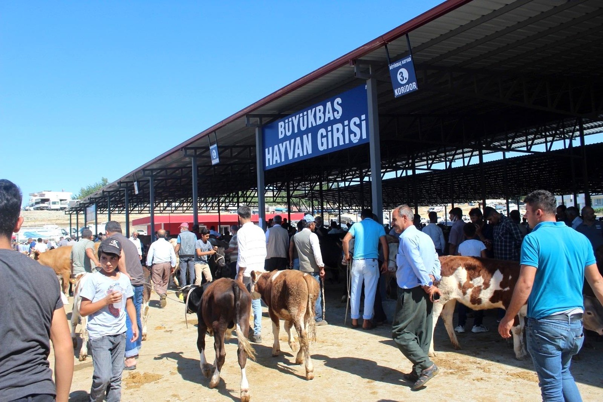 Kahta Kapalı Hayvan Pazarı hizmete açıldı