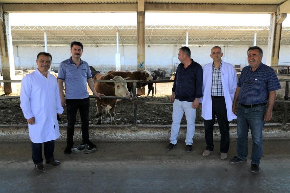 Kurbanlık hayvan satış ve kesim yerlerinde inceleme