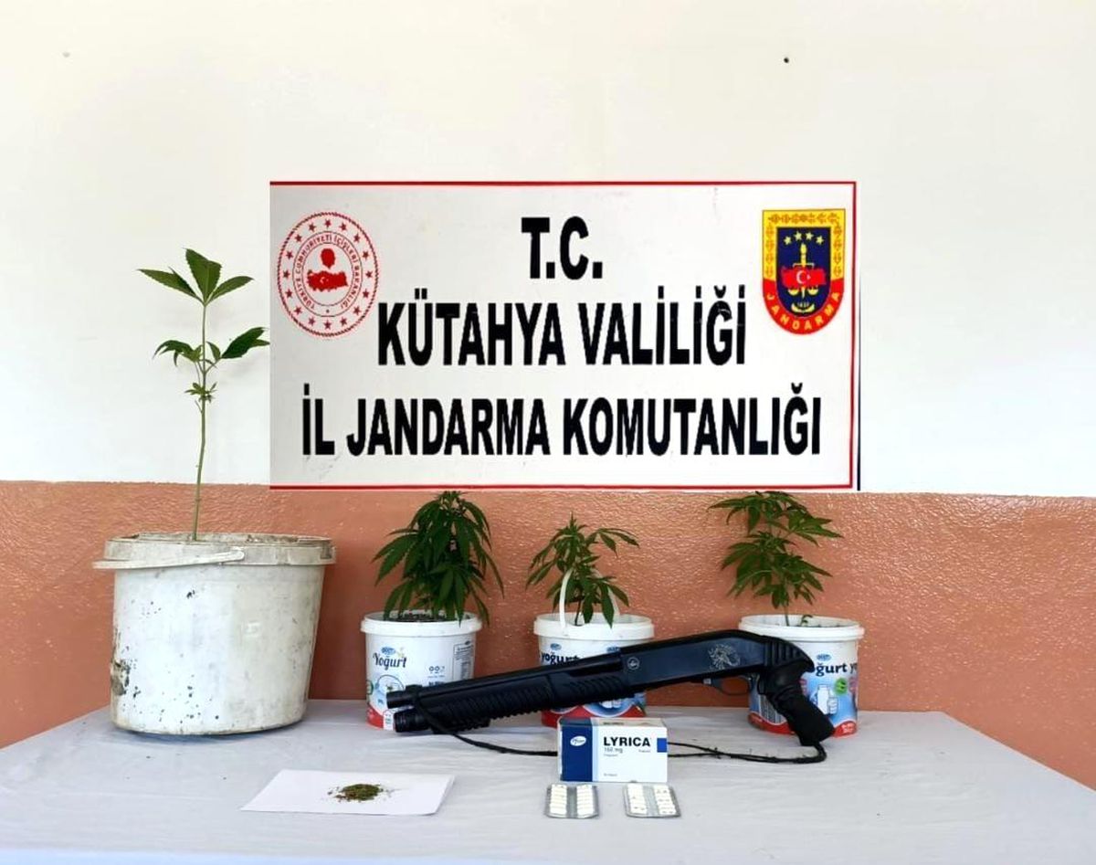 Kütahya\'da saksı içerisinde Hint keneviri yetiştiren zanlı yakalandı