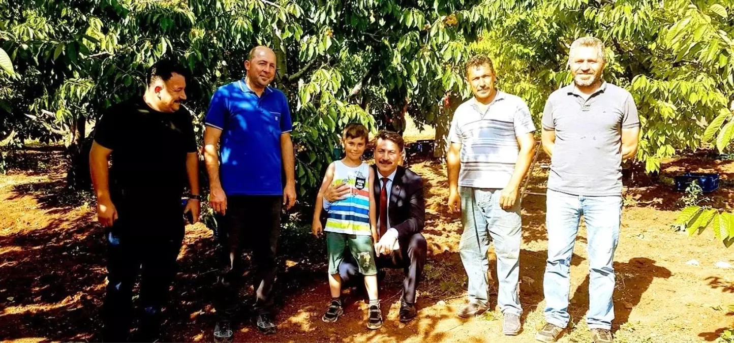 Mihalıççıklı çiftçilerin üretim sevinci