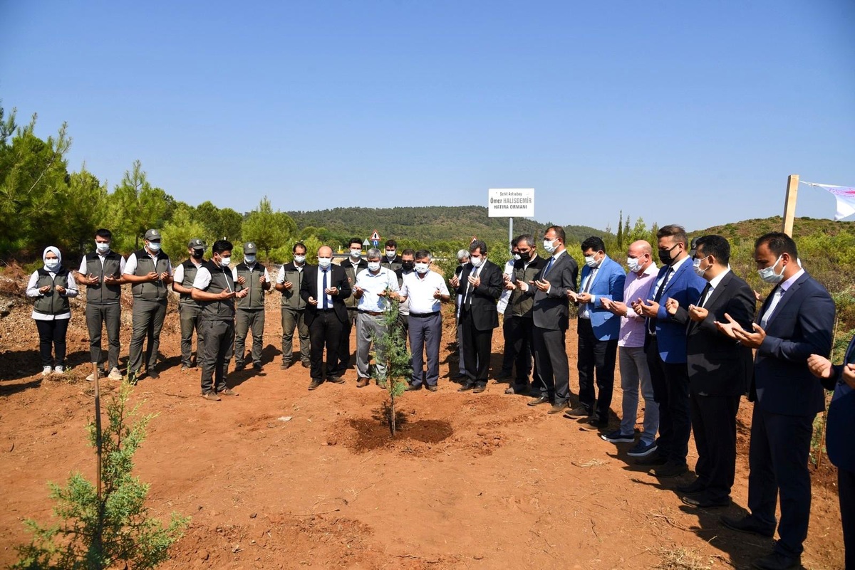 Muğla\'da 15 Temmuz Demokrasi Şehitleri anısına fidan dikildi