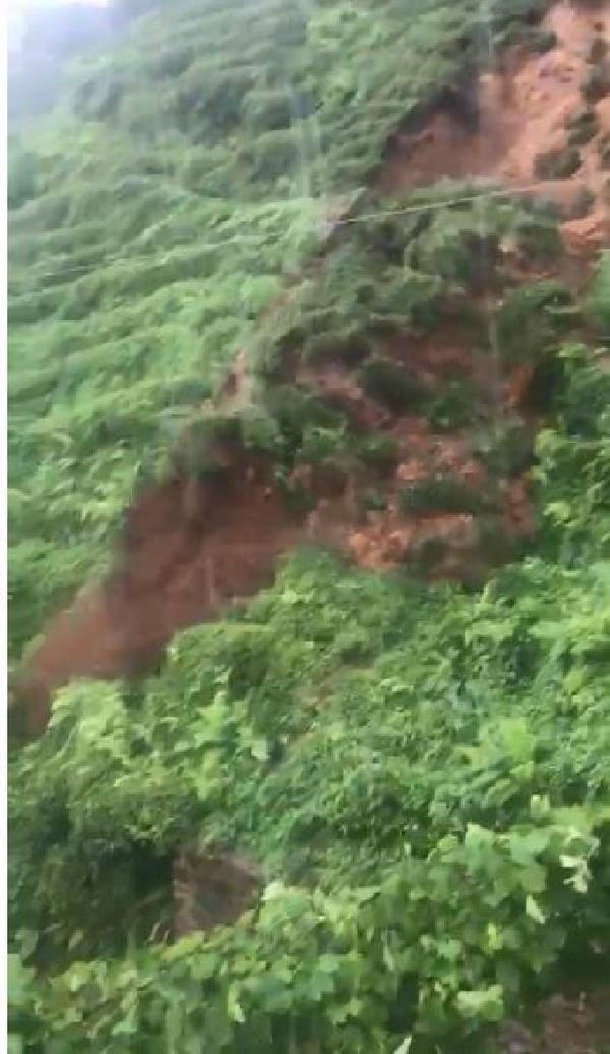 Rize\'de sağanak; dereler taştı, evleri su bastı, yollar kapandı (2)