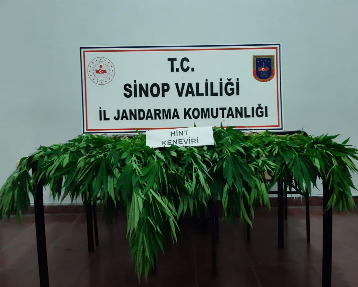 Sinop\'ta uyuşturucu operasyonu: 1 gözaltı