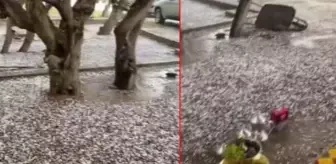 Suudi Arabistan'da yaz ortasında fındık büyüklüğünde dolu yağdı