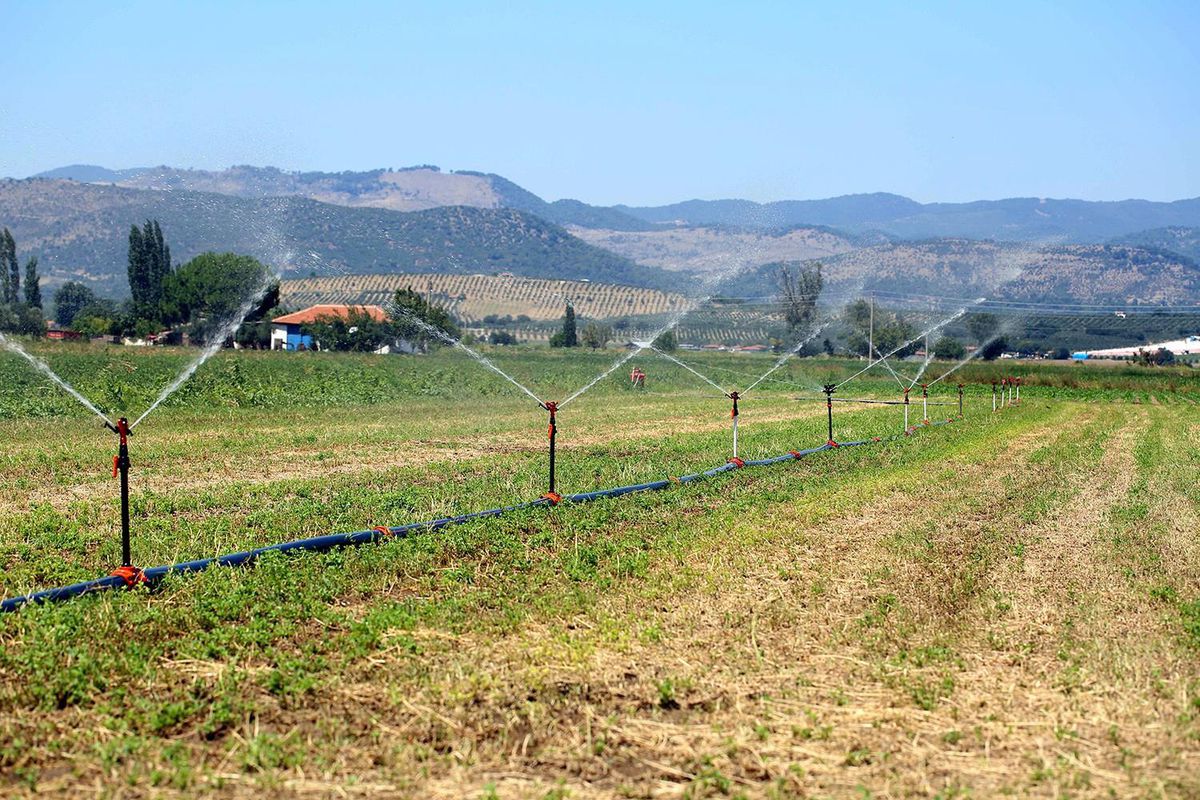 Tarım ÜFE haziranda aylık bazda yüzde 1,76, yıllık bazda yüzde 21,76 arttı