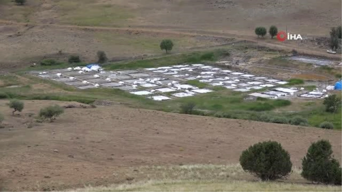 Tunceli\'den dünyaya ihraç edilen tuzun üretimi, kuraklık nedeniyle yüzde 50 düştü