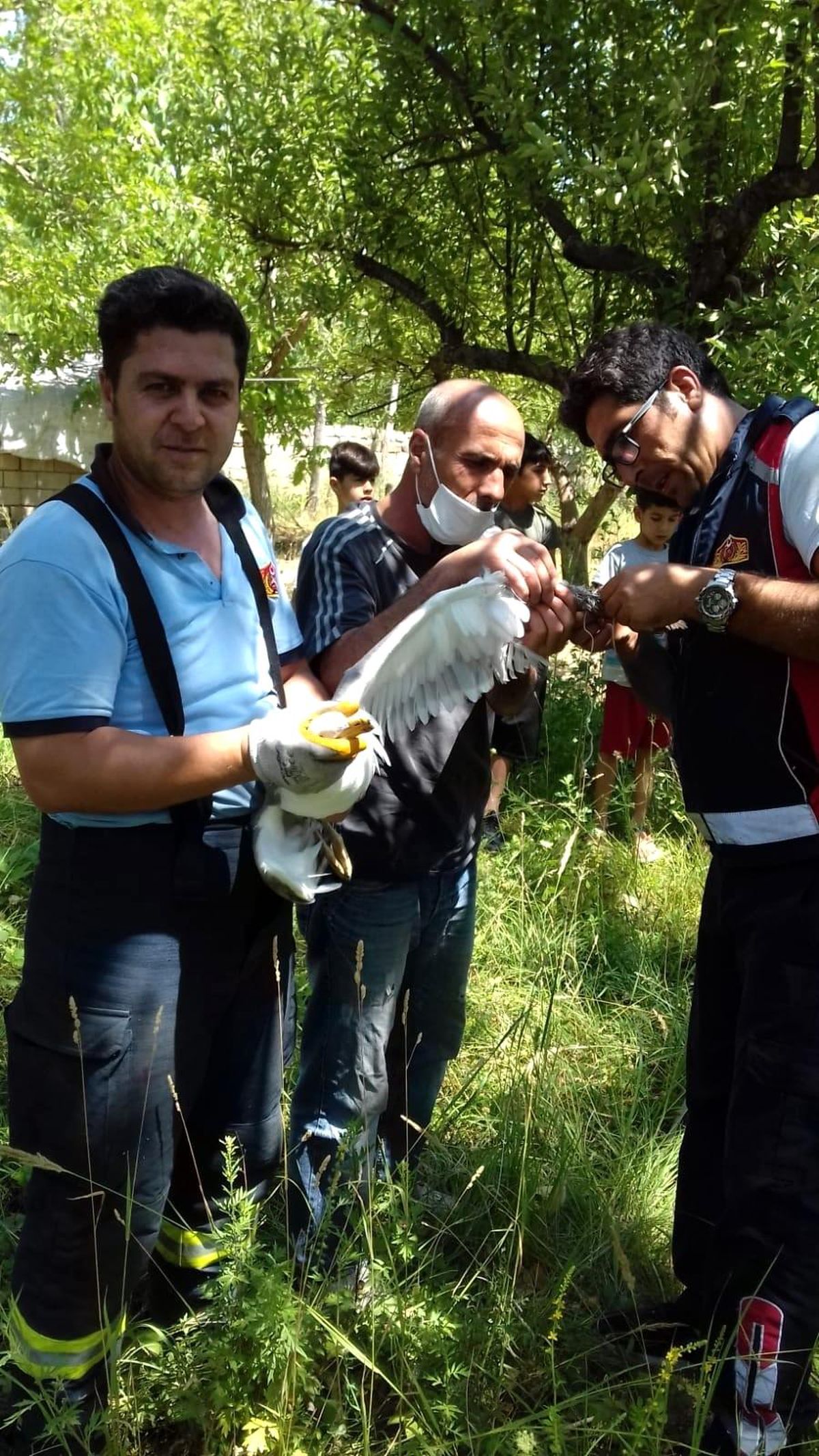 Uçurtma ipine dolanan martı kurtarıldı