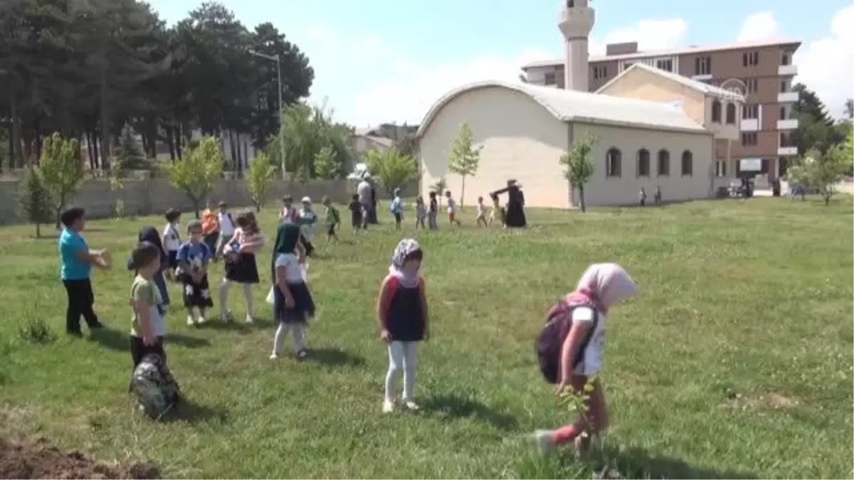 15 Temmuz şehitleri anısına Tatvan\'da 251 fidan dikildi