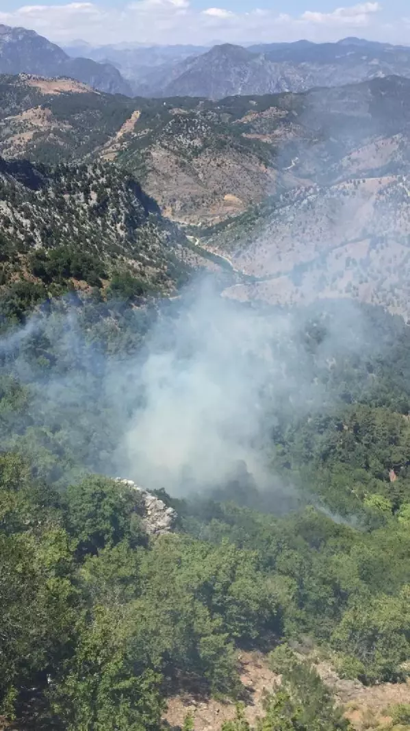 Son Dakika Haberleri Adana Da 3 Ayri Bolgede Cikan Orman Yanginlari Sonduruldu 2 Son Dakika