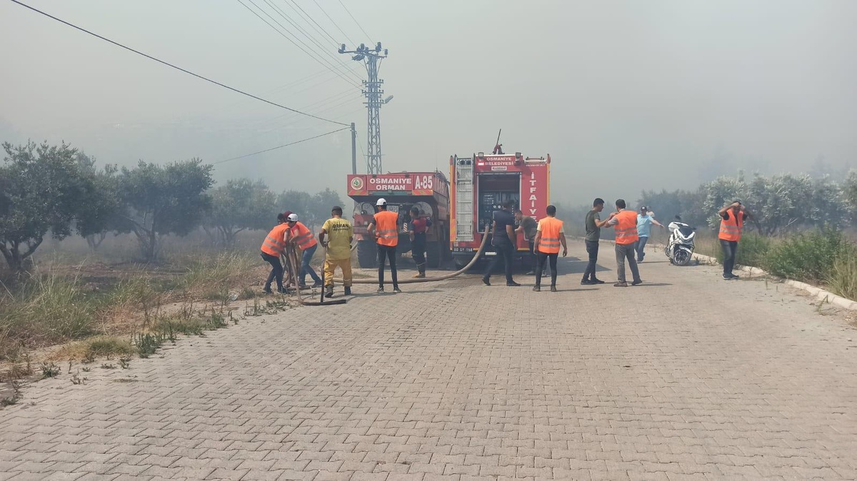 Adana Pozantı\'da çıkan orman yangını kontrol altına alındı