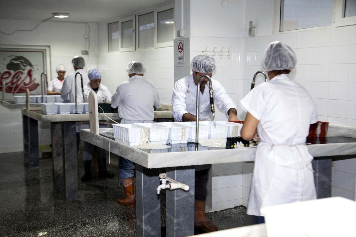Eskitütüncü: "Kurban bağırsakları ve derisini ekonomiye kazandıralım"