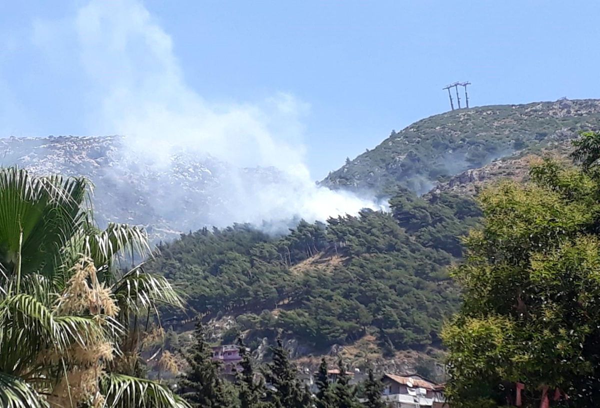 Son dakika 3. sayfa: Hatay\'da orman yangını