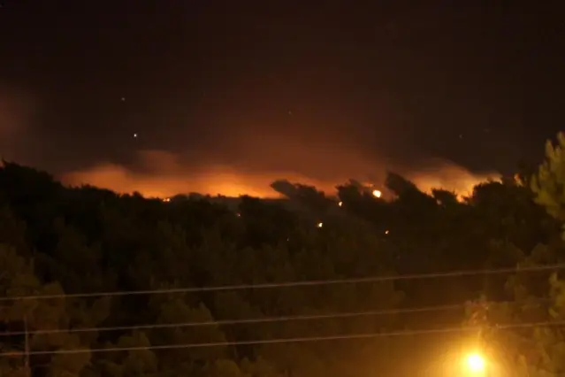 Son dakika haberi: Hatay'da orman yangını