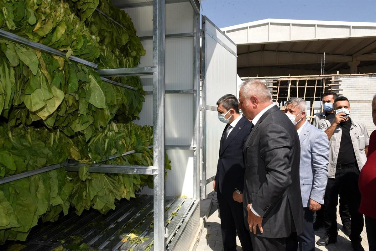 İlk tütün kurutma fabrikası Batman\'da açıldı
