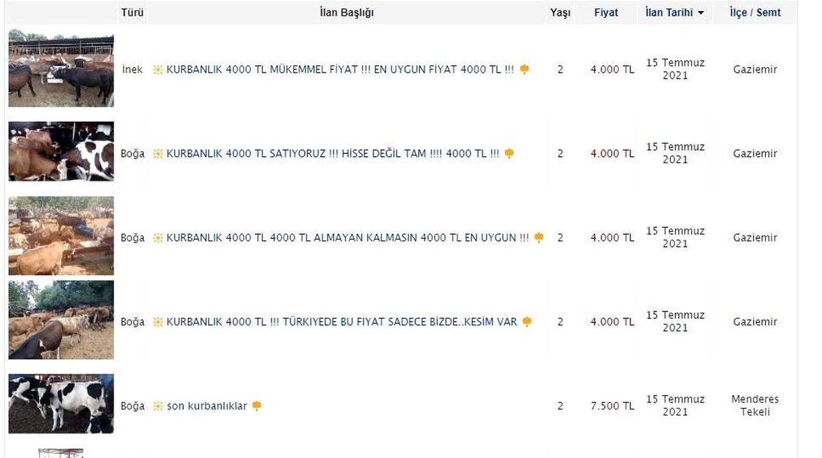 İnternet ilanıyla kurbanlık satışı