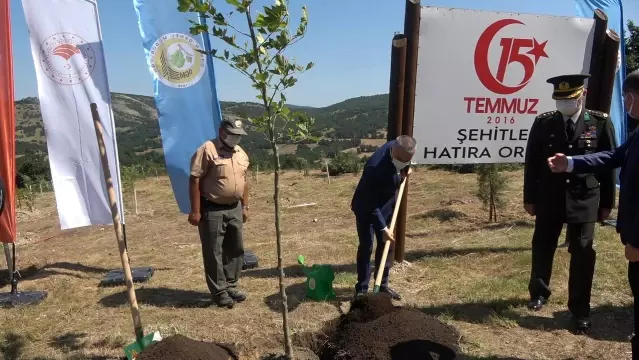 Son dakika haberleri! Kırklareli'nde 15 Temmuz şehitleri unutulmadı, 251 fidan dikildi