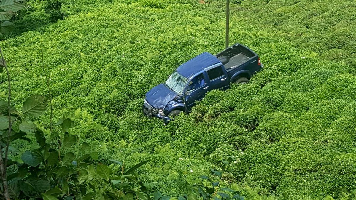 Rize\'de araç çay tarlasına uçtu: 2 yaralı