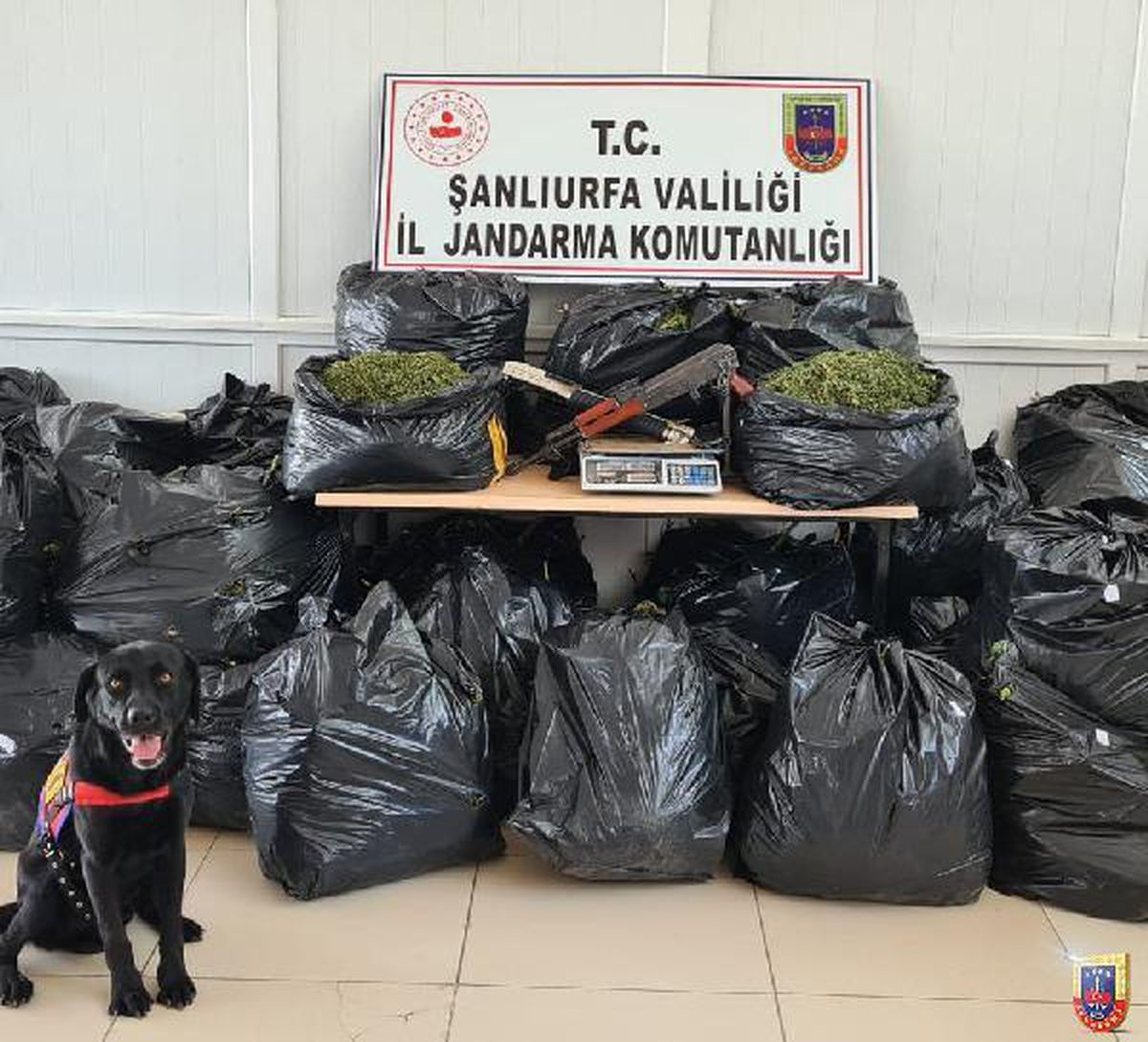 Şanlıurfa\'da uyuşturucu operasyonu: 10 gözaltı