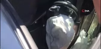 Tatil yolunda can pazarı