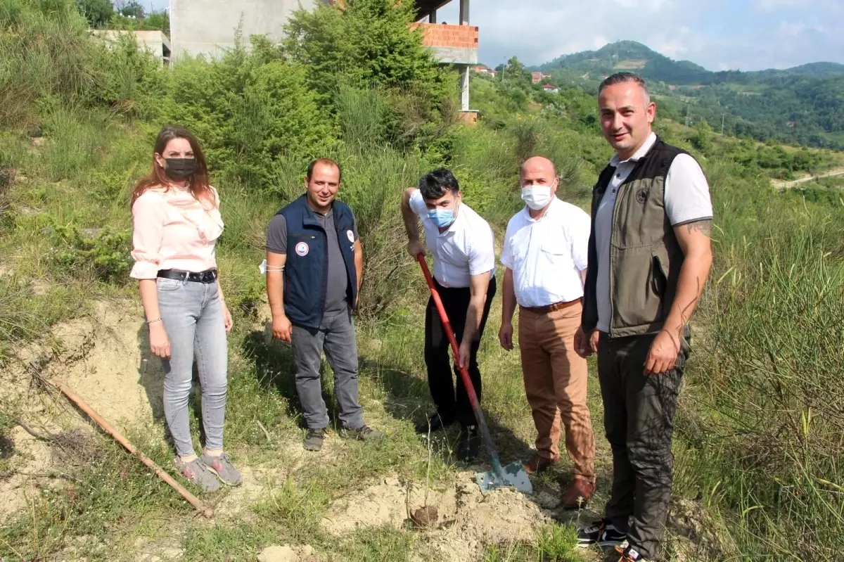 Türkeli\'de 15 Temmuz şehitleri anısına fidan dikildi