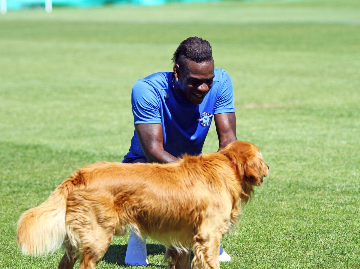 Adana Demirspor, Bolu\'daki ilk etap kampını tamamladı