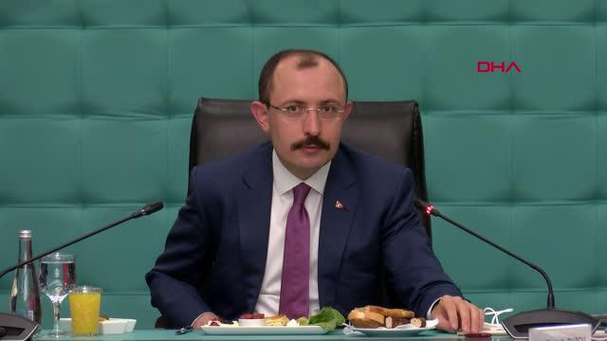 Son dakika! ANKARA Bakan Muş\'tan, AB üyesi ülkelerin büyükelçilerine \'pozitif gündem\' vurgusu