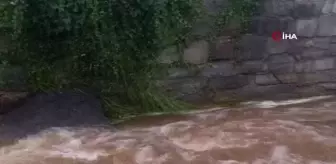 Son dakika gündem: Belçika'daki sel felaketinde ölü sayısı 23'e yükseldi