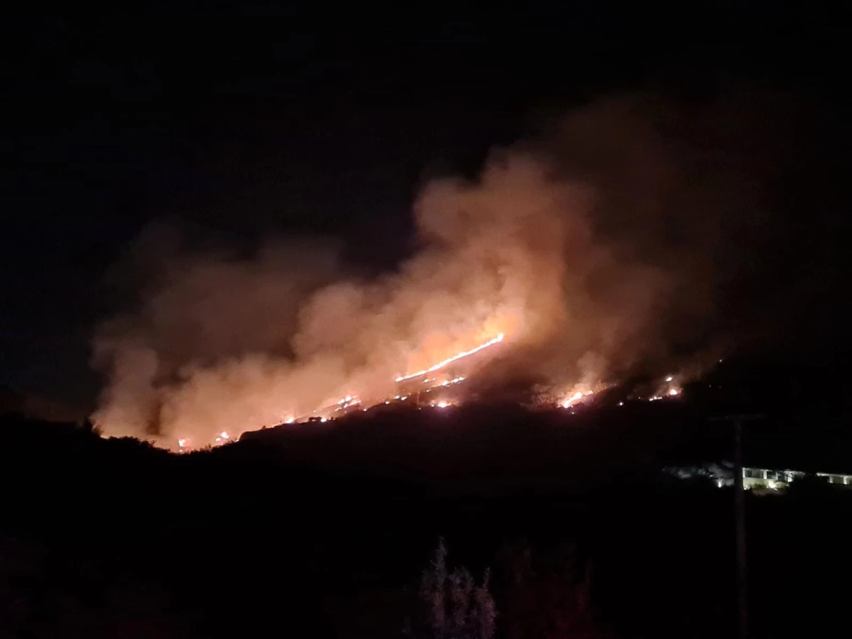 Son dakika haberleri... Bodrum\'da otluk ve makilik alanda yangın
