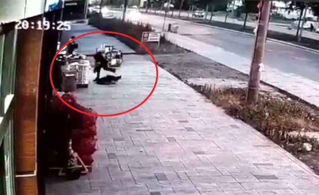 Eşinin öldürdüğü özel harekat polisinin balkondan düşme anı kamerada