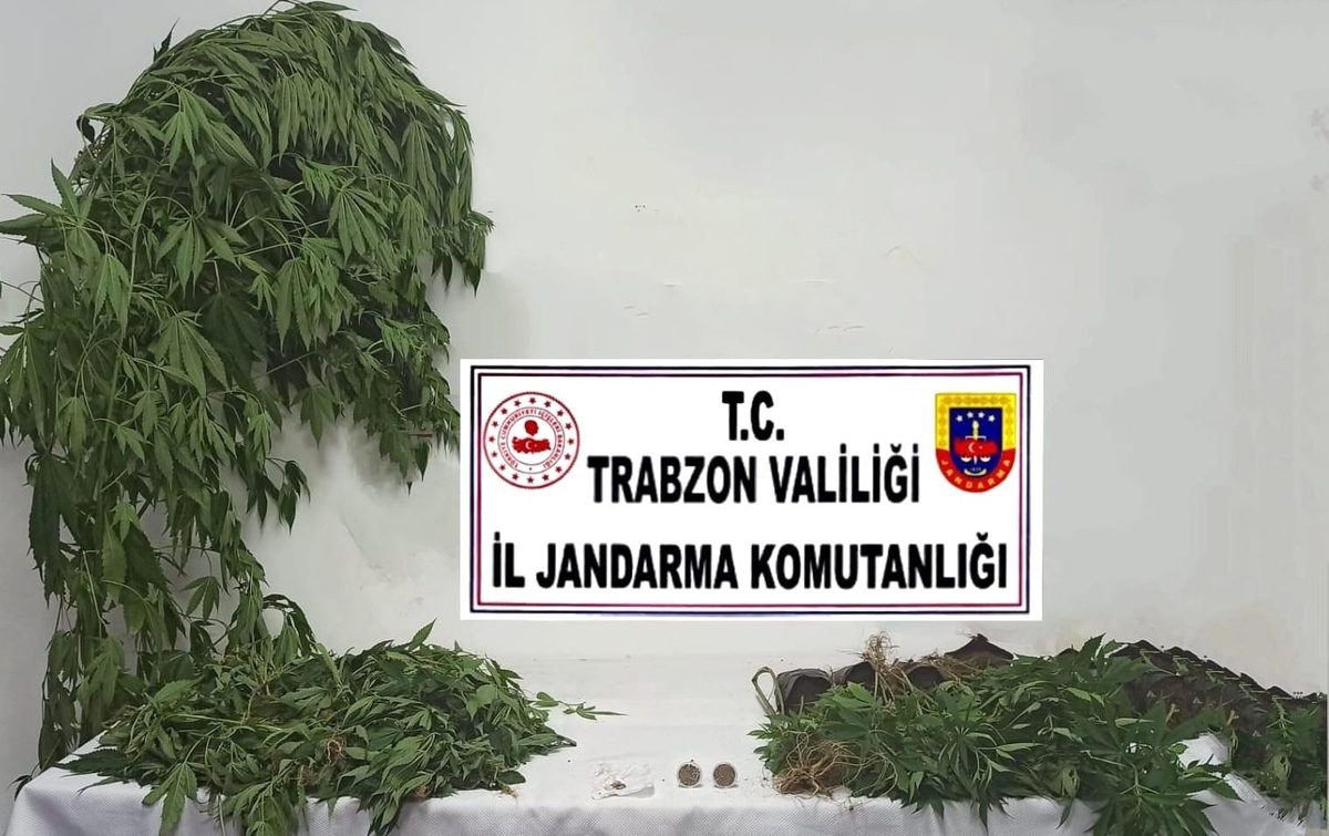 Son dakika... Jandarma uyuşturucu satıcılarına geçit vermiyor
