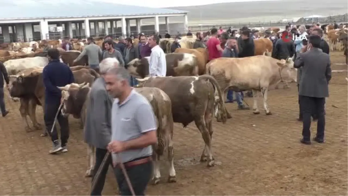 Kuraklık kurban satışlarını olumsuz etkiledi