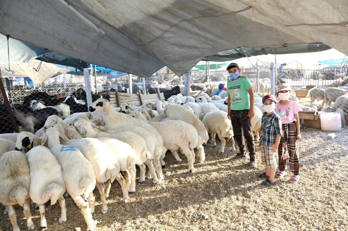 Meram Belediyesi Kurban Bayramı\'na hazır