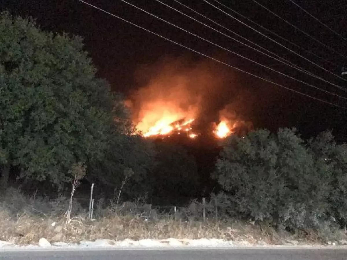 Son dakika! Muğla\'da otluk ve sazlık alandaki yangın korkuttu