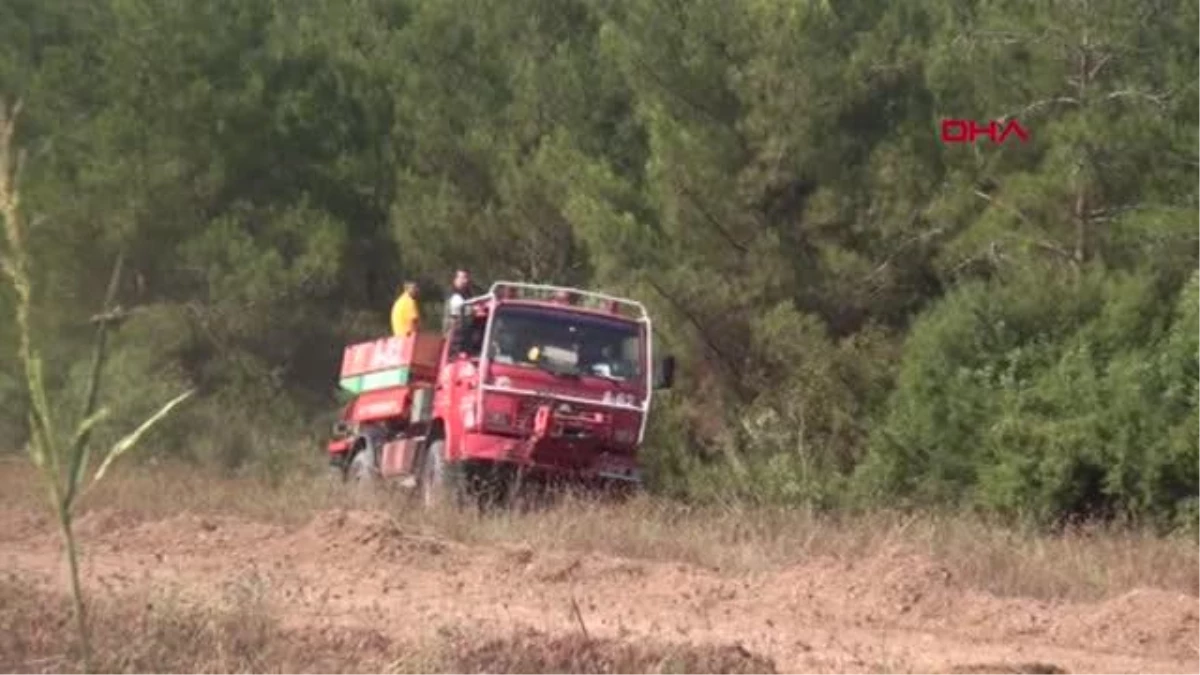 Osmaniye\'deki orman yangınında 15 hektar alan zarar gördü