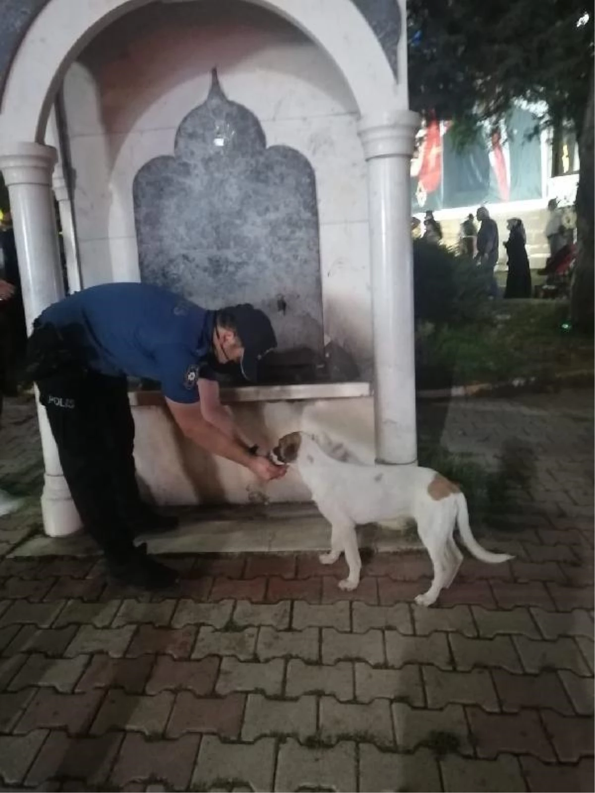 Polis, sokak köpeğine çeşmeden elleriyle su içirdi