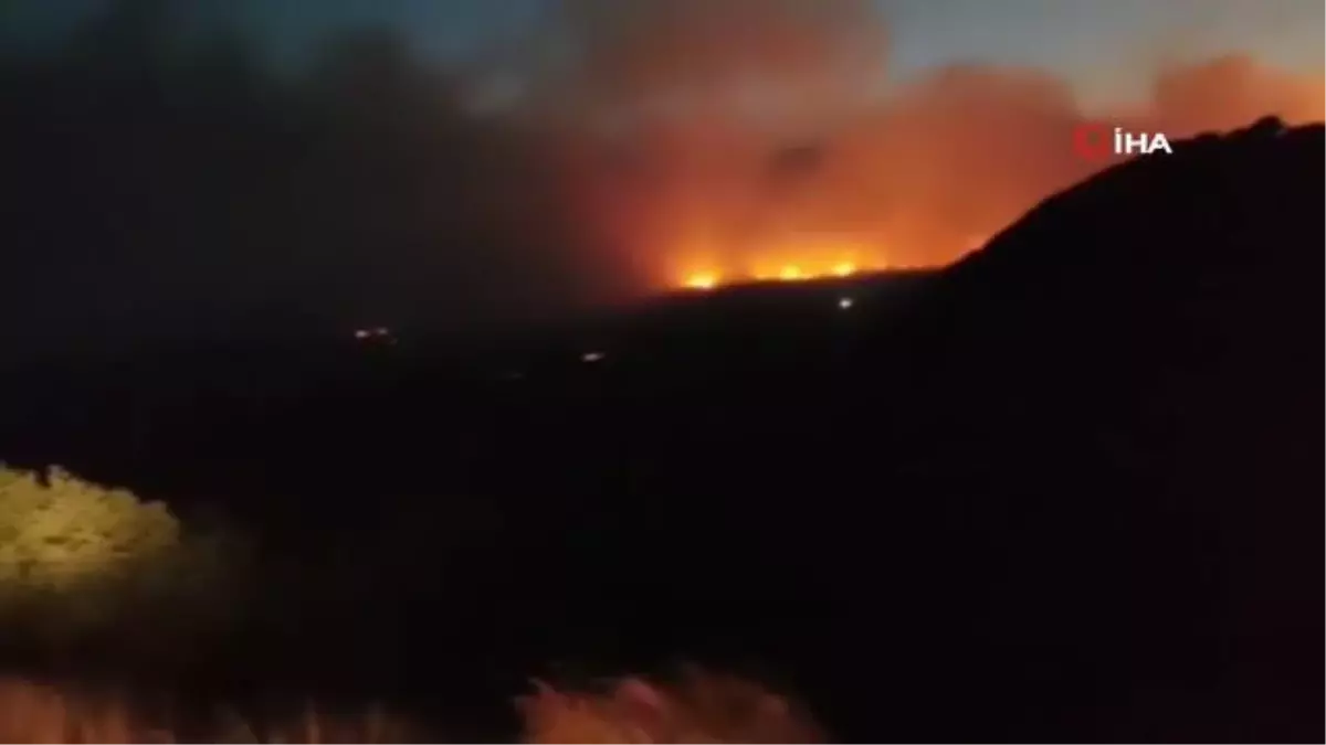 Samos Adası\'nda orman yangını