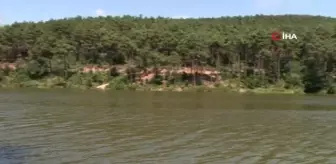 Bayram tatilini İstanbul'da geçiren vatandaşlar Aydos Ormanı'na akın etti