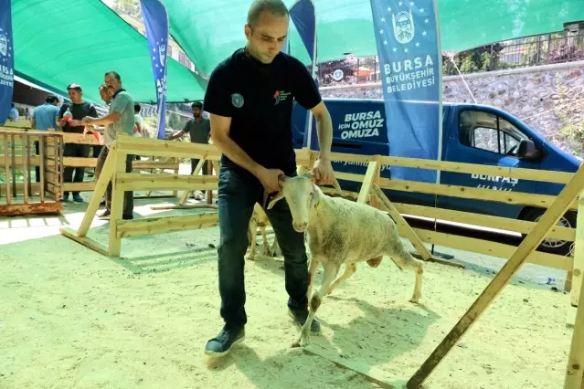 Bursa'da yetim aileleri de bayram edecek