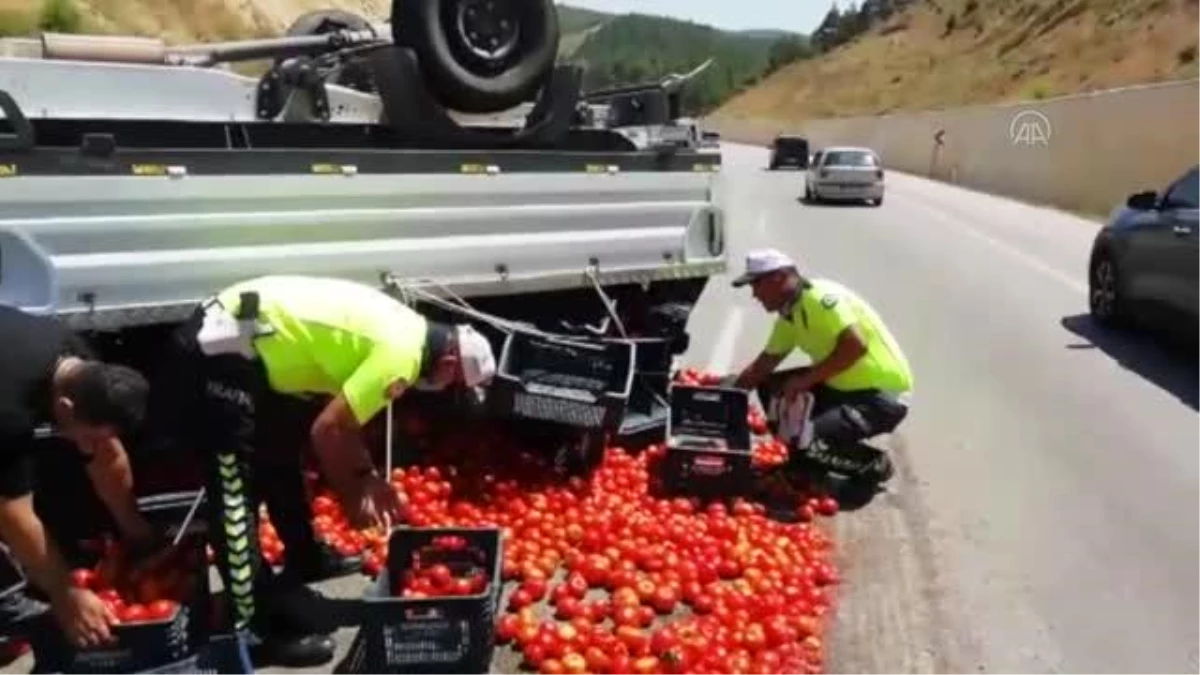 Devrilen kamyonetten yola dökülen domatesleri trafik polisleri topladı