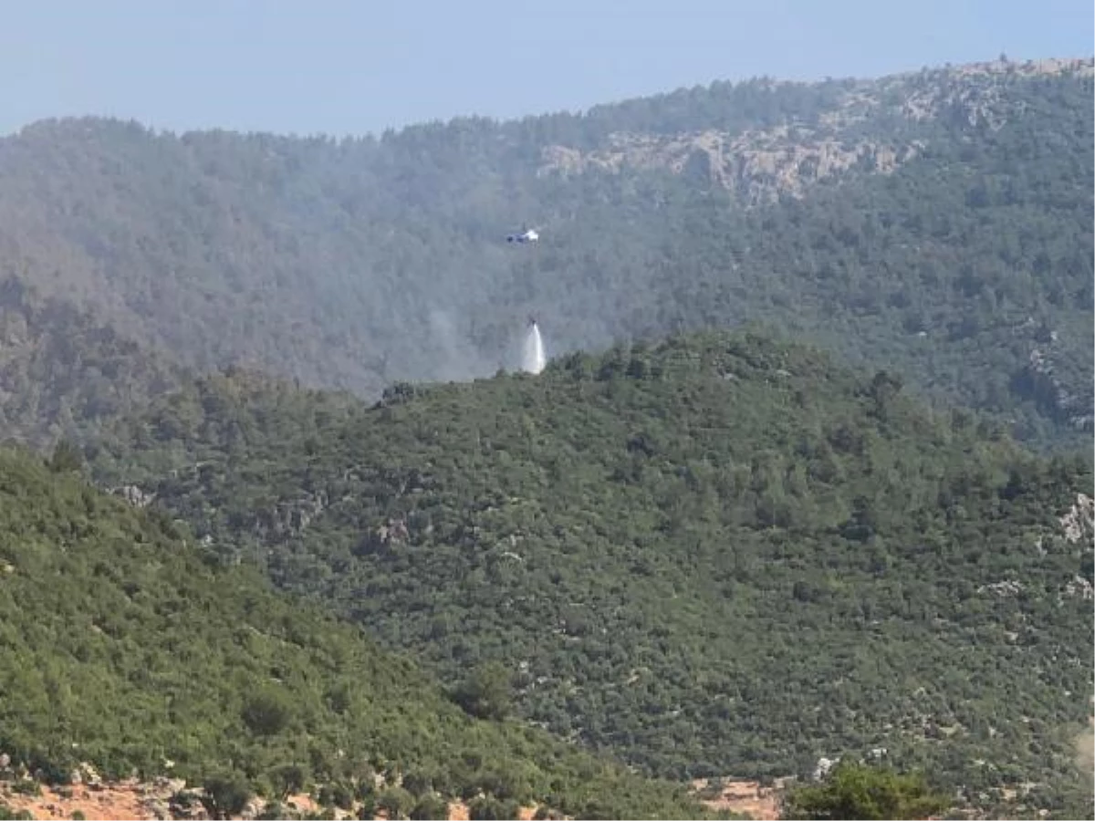 Forest fires in Hatay and Mersin are brought under control
