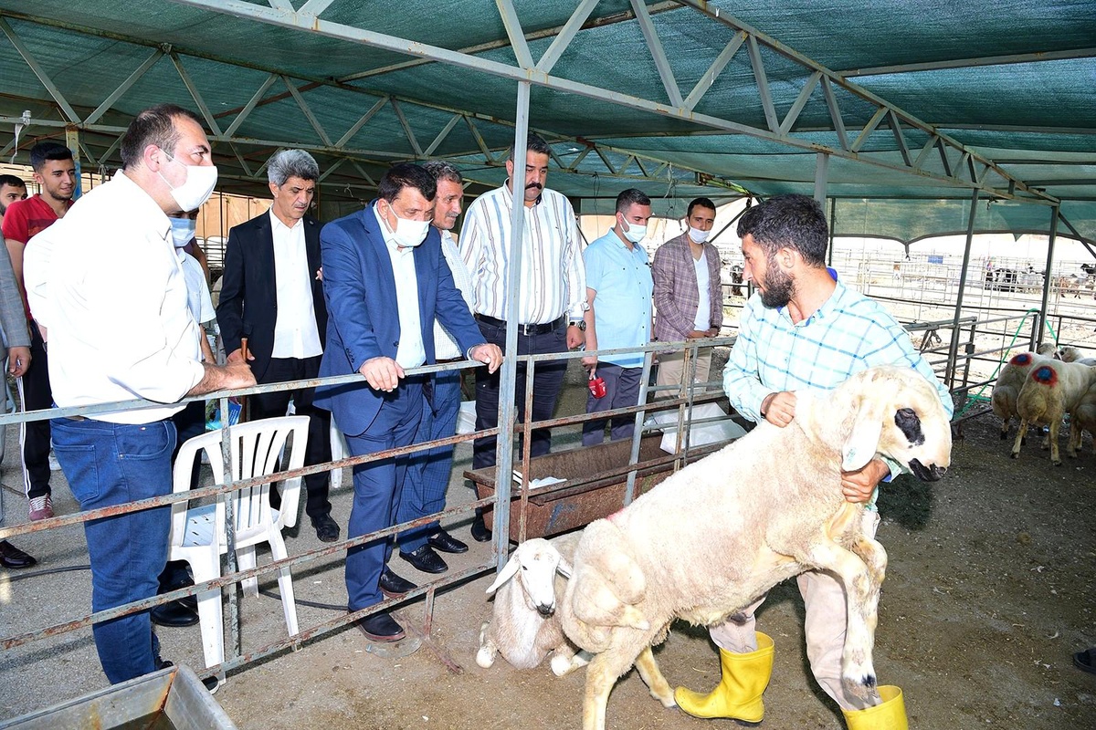 Gürkan, canlı hayvan pazarında incelemelerde bulundu