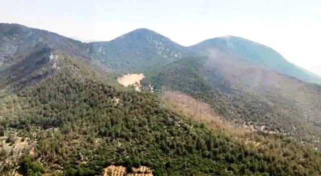 Orman yangını 3. gününde kontrol altına alındı Orman yangını 3. gününde kontrol altına alındı