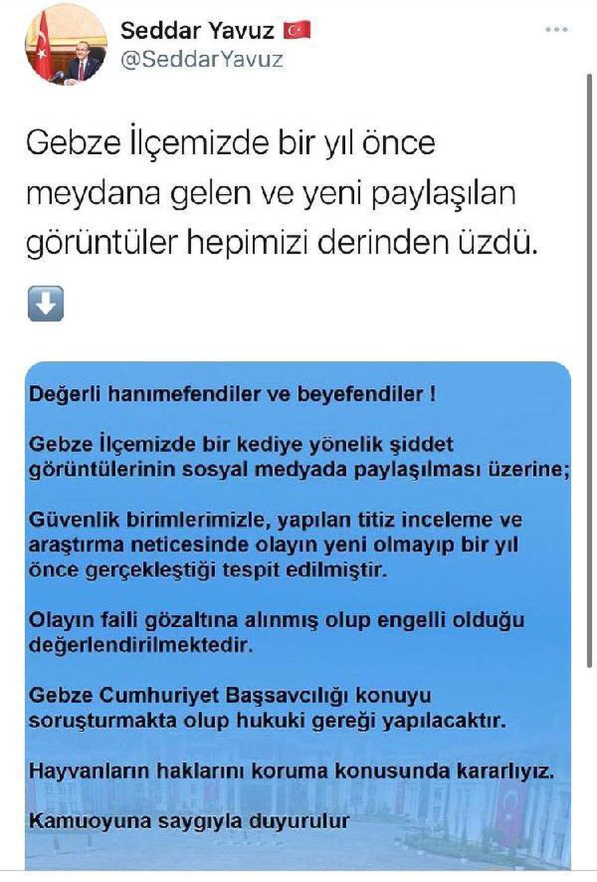 Kediyi iple çatıdan sarkıtıp, süpürge ile vurdular (2)