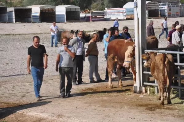 KELKİT'TE, BAYRAM ÖNCESİ KURBAN PAZARI HAREKETLENDİ