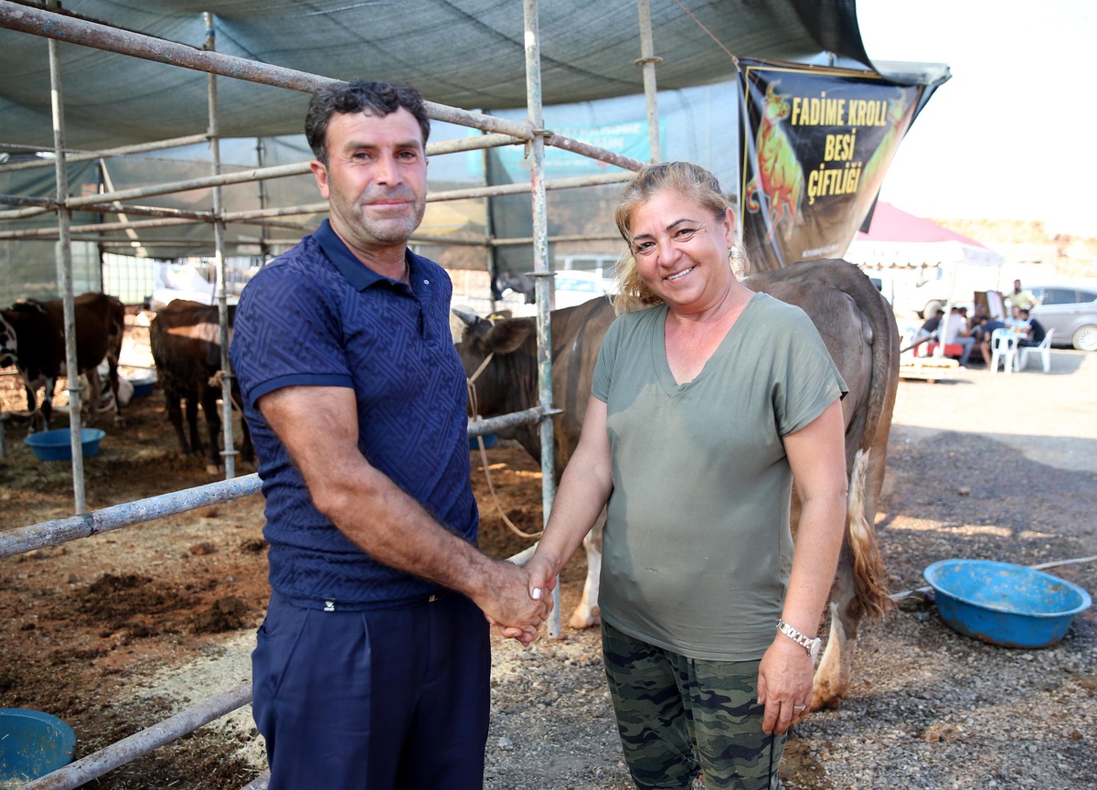 Kurban pazarının "Hanım ağası" doğal beslediği hayvanlarına alıcı bekliyor